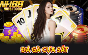 Đá Gà Cựa Sắt